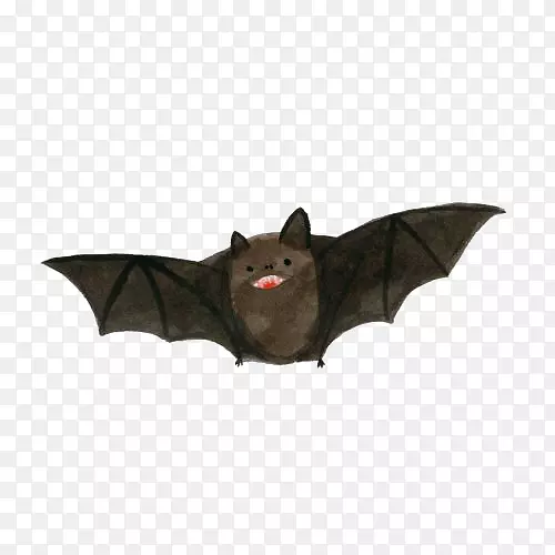 蝙蝠绘画艺术插图.黑色蝙蝠