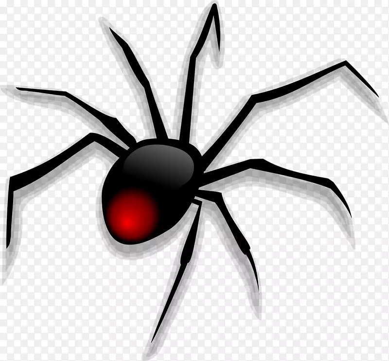 蜘蛛动画剪辑艺术-黑蜘蛛