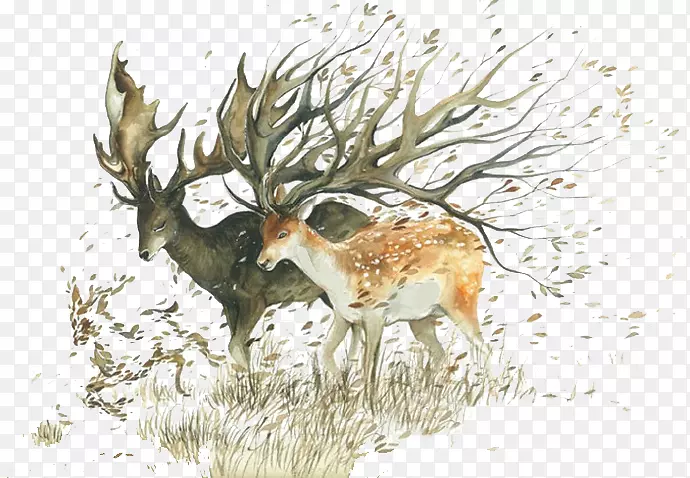 水彩画画家绘画插画-卡通森林鹿