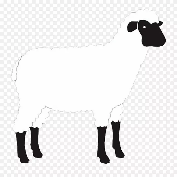 羊，山羊，羊驼-绵羊