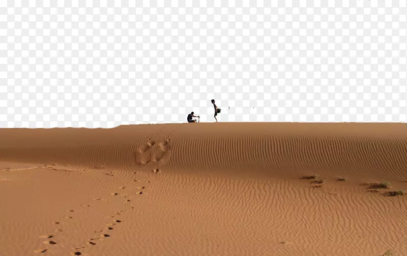 沙漠行人