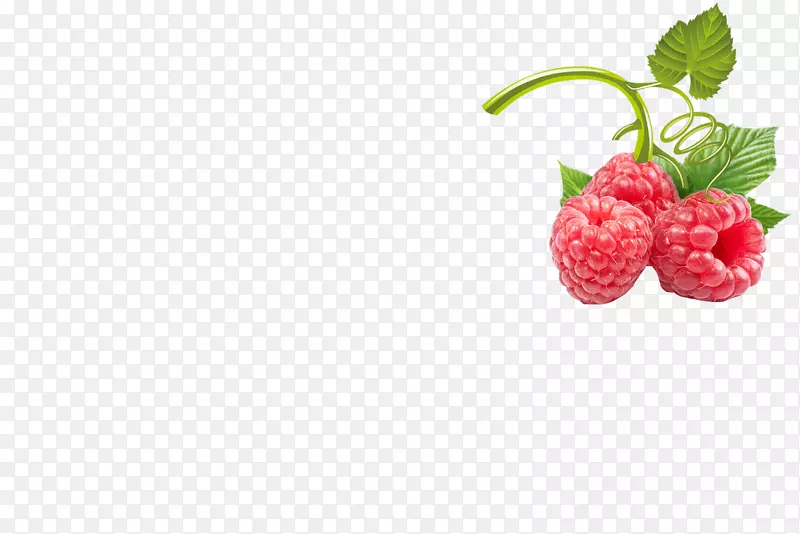 红莓果草莓果覆盆子果实