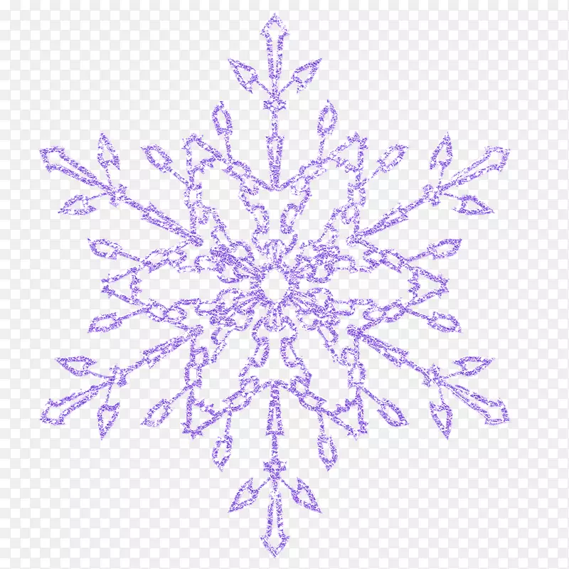 紫色雪花紫罗兰-雪花装饰