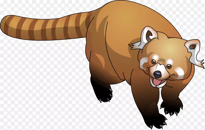 浣熊红熊猫熊卡通-浣熊材料