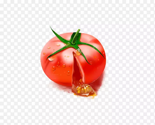 李子番茄下载-番茄