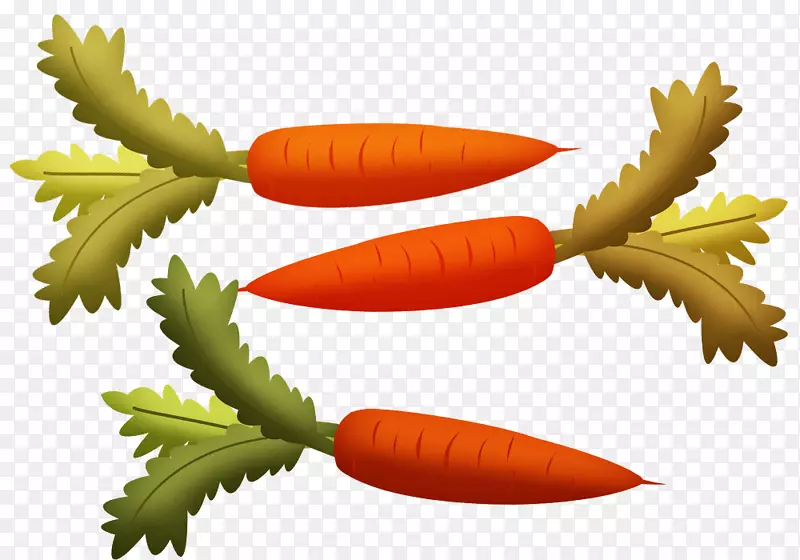胡萝卜植物-涂上绿色胡萝卜材料