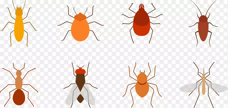 灭蚊害虫-几种害虫材料