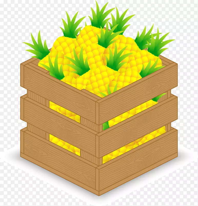 菠萝果-3D木箱菠萝