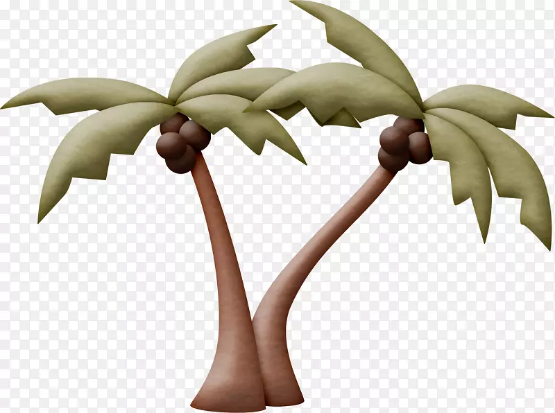 椰子树-椰子树