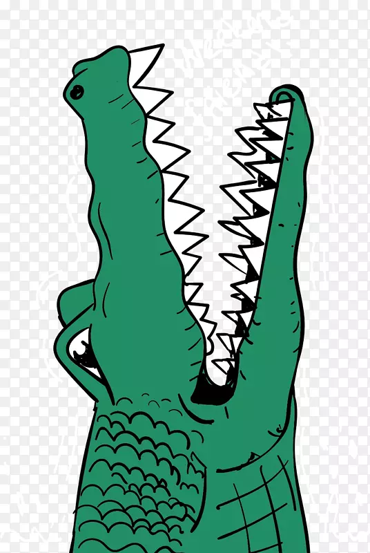 鳄鱼插图.绿色鳄鱼