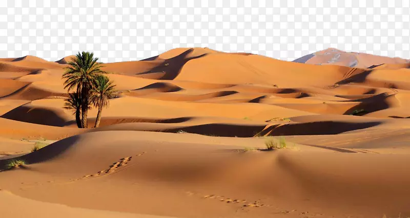 索苏斯韦利比亚沙漠沙丘景观-美丽的沙漠景观