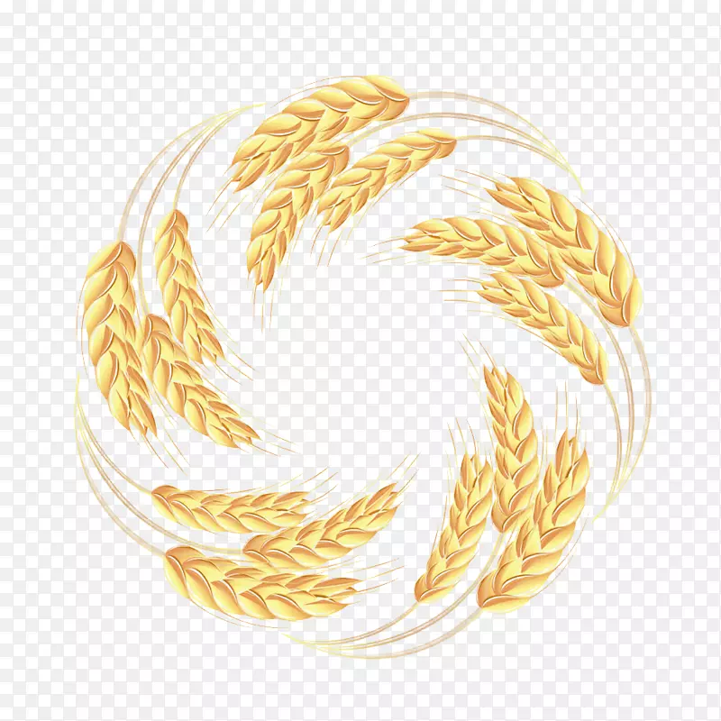 小麦穗全麦粮-小麦