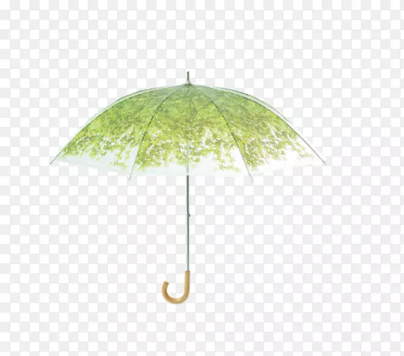伞透明半透明阳光绿色遮阳伞