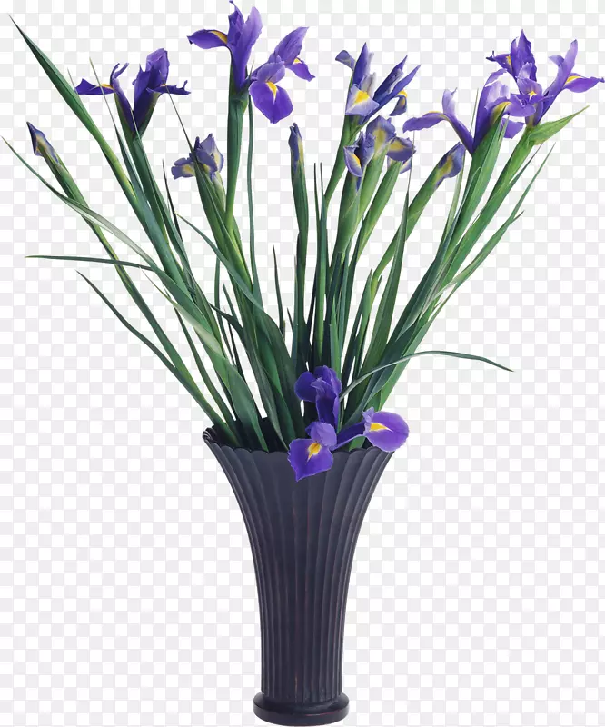 花夹艺术-紫色虹膜