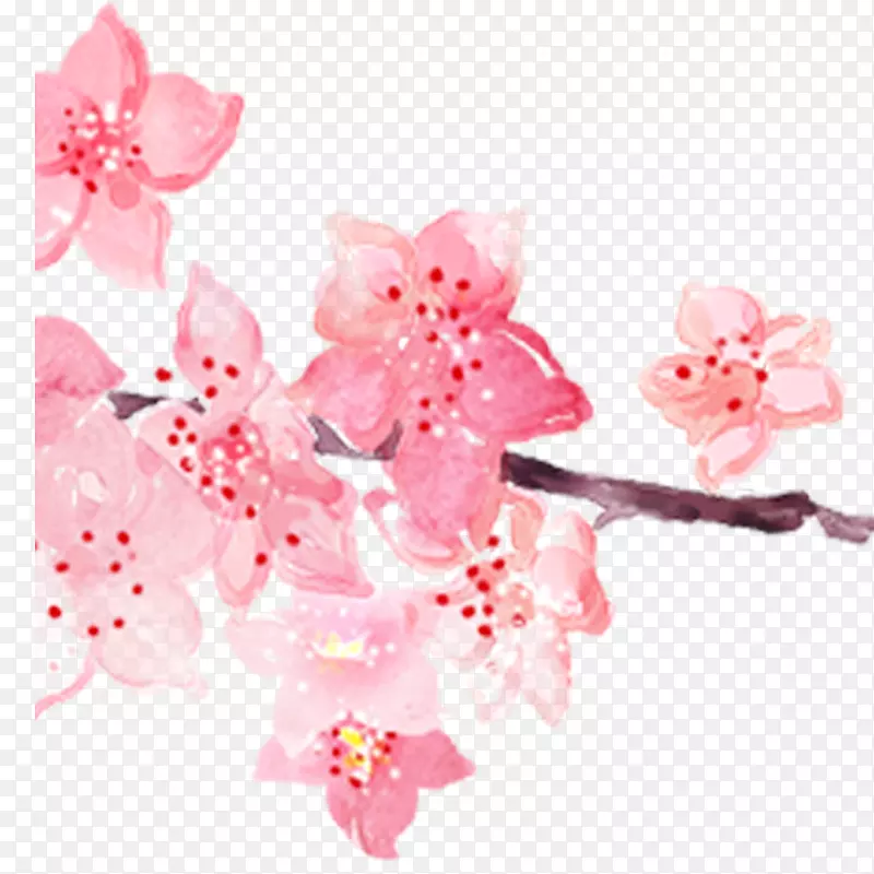 粉红色樱花水彩画-粉红色手绘水彩画樱花