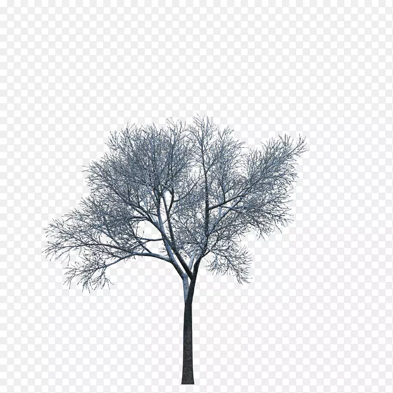 植物树下载三维计算机图形-树
