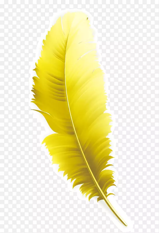 羽毛黄色-黄色羽毛