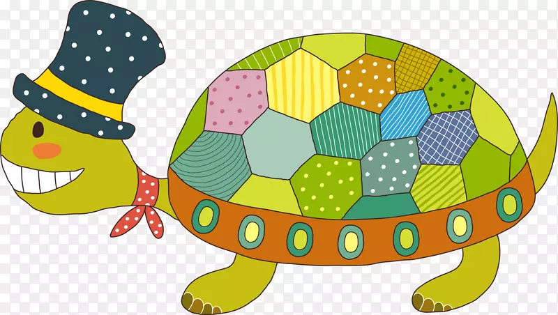 龟插图-龟