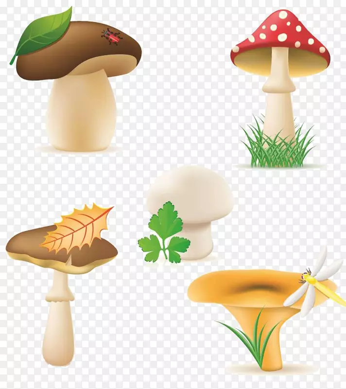 免版税食用菌剪贴画-蘑菇图案