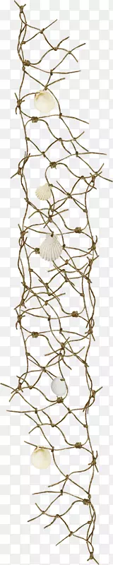 渔网绳夹艺术.棕色绳网扇贝