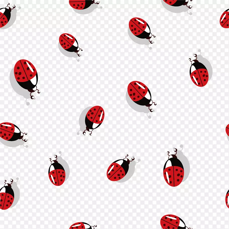 甲虫瓢虫七点瓢虫壁纸.甲虫壁纸