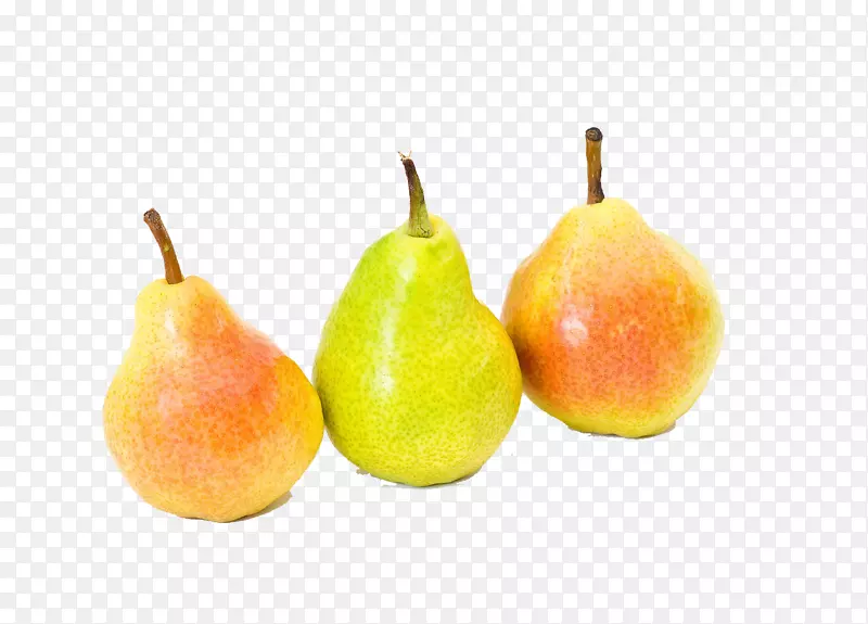 水果可爱梨xd 7小梨-五颜六色的水果梨