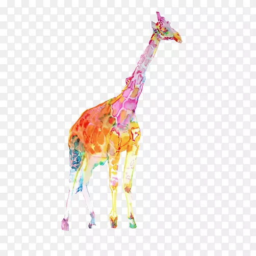 彩色长颈鹿水彩画插图长颈鹿彩色剪辑图片
