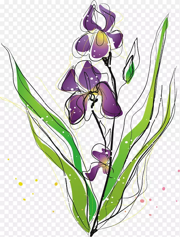 紫虹膜蛾兰花植物.紫罗兰PNG载体材料