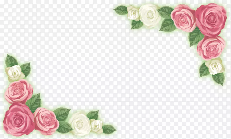 Adobe插画花园玫瑰-玫瑰角花卉材料