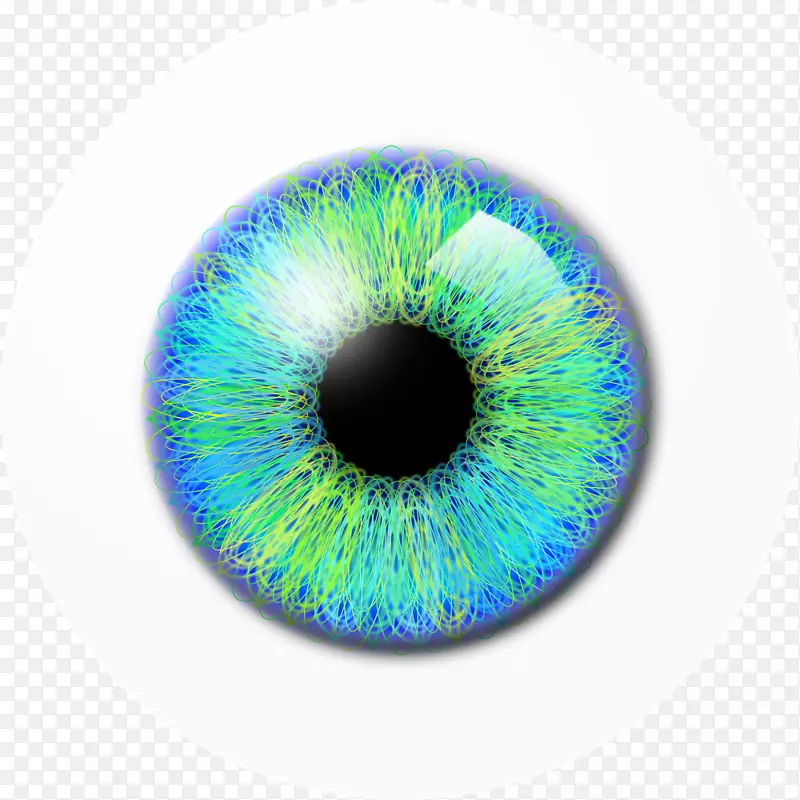 可伸缩的图形剪辑艺术.蓝绿色眼睛瞳孔