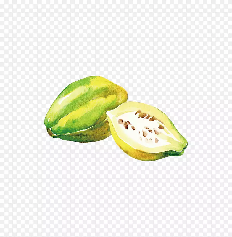 杨桃甜瓜柠檬食品水果手绘绿色黄瓜
