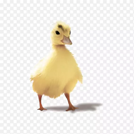 鸭鹅夹艺术-小黄鸭可扣减元素