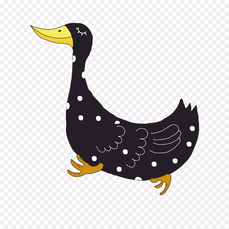 鸭鹅图-可爱的鸭子