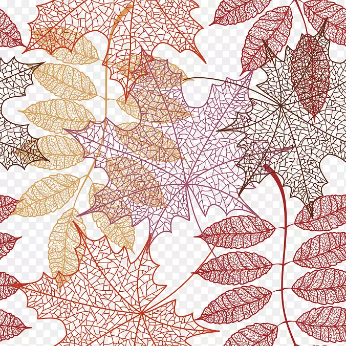 秋叶颜色图案-叶纹理