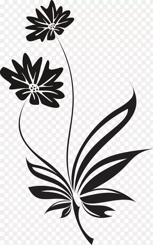 小花黑白花植物