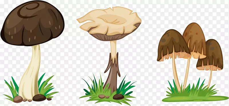 蘑菇画插图.动画蘑菇材料