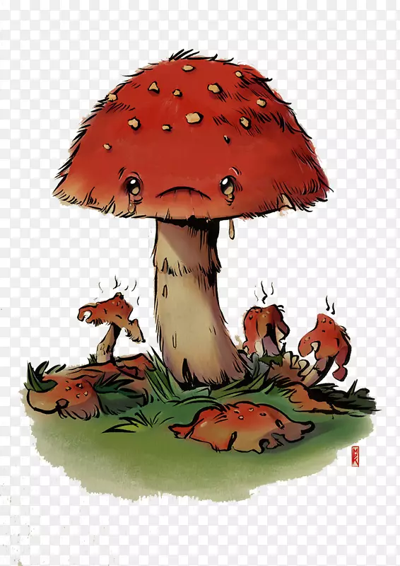 蘑菇载体食物红蘑菇
