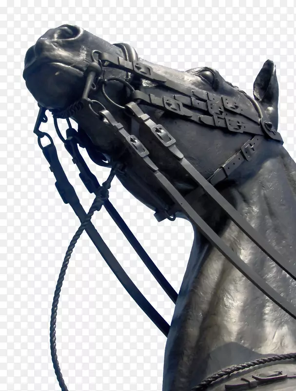 国会山马渥太华雕像-马雕像