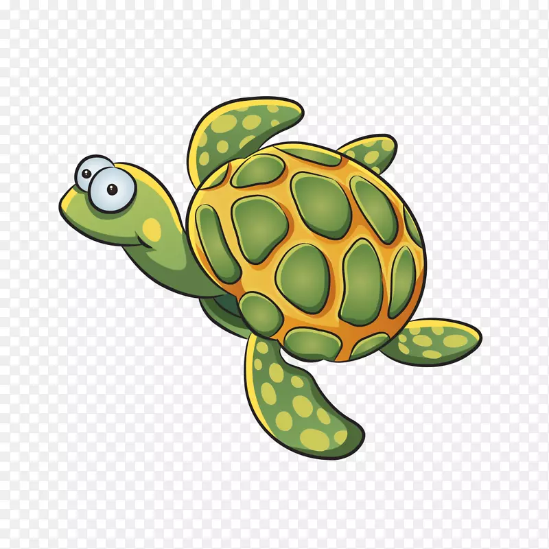 海龟窗处理海獭-卡通海龟形状