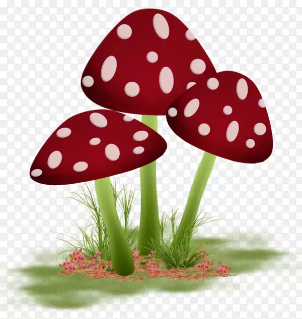 香菇纸水彩画真菌水彩蘑菇