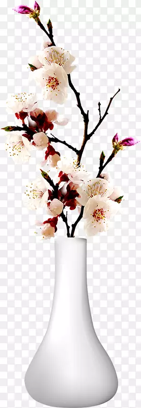 遗忘MeNot花瓶下载计算机文件-花瓶和鲜花