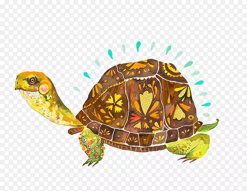 纸画插图画家-卡通水彩画海龟