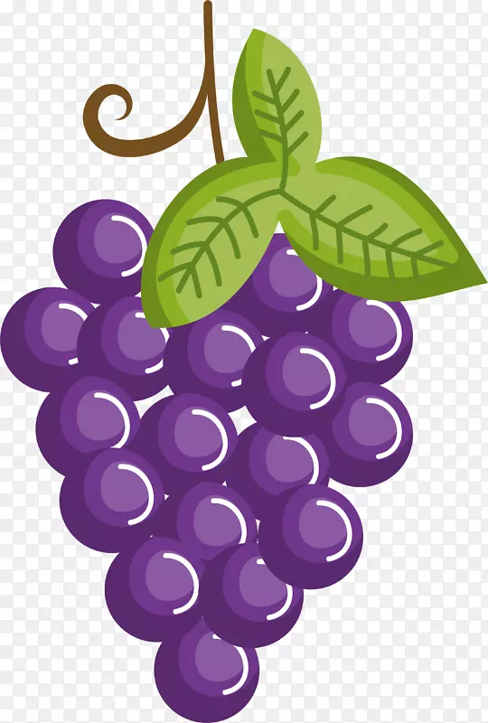 葡萄画卡通水果.紫色卡通葡萄