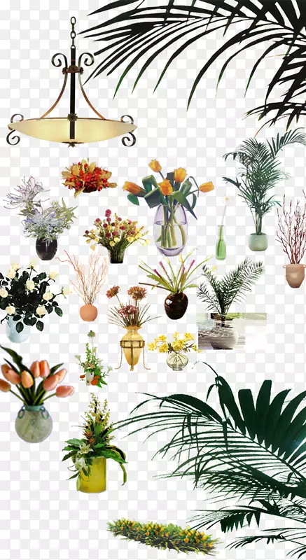 植物设计师花卉设计.花瓶植物室内陈设