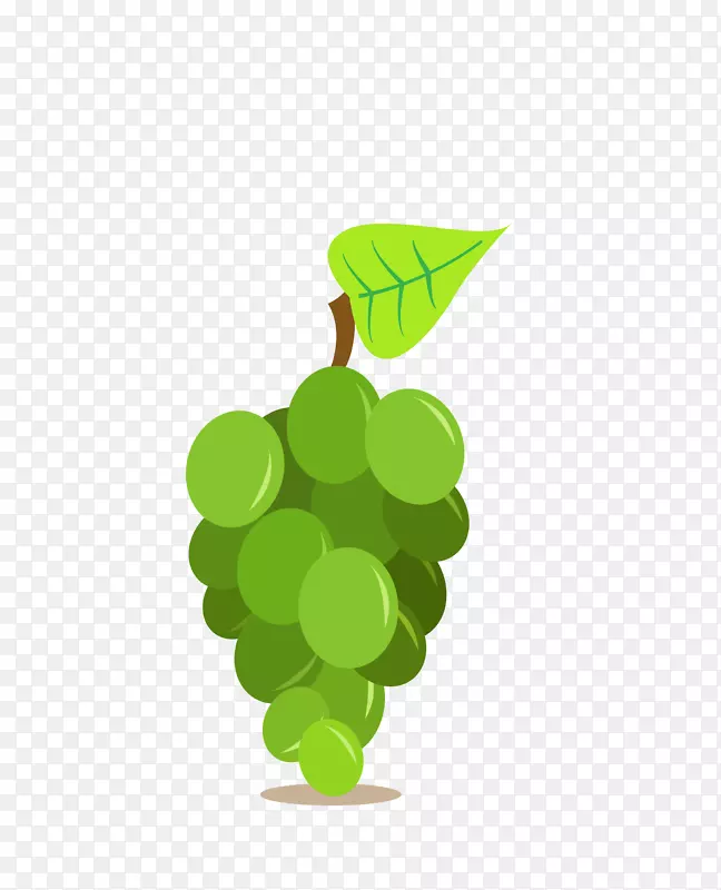 VINHOVERDE红酒VIN GRAIS橡木载体绿色水果葡萄