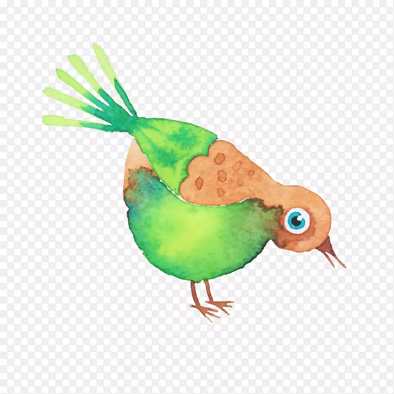 鸟类水彩画-卡通鸟