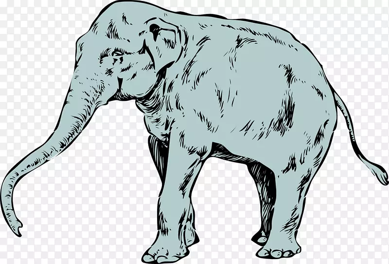 亚洲象牙-大象