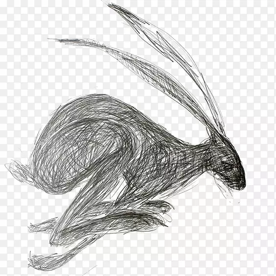 欧洲野兔画兔水彩画艺术-兔子