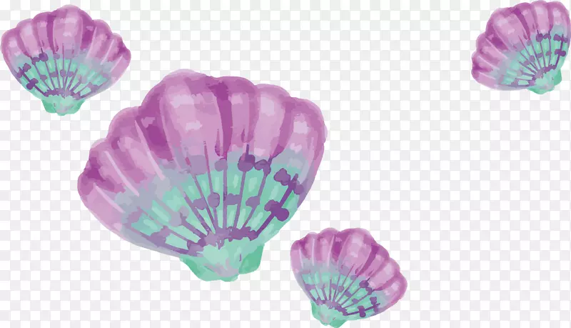 水彩画绘图下载-水彩紫色贝壳