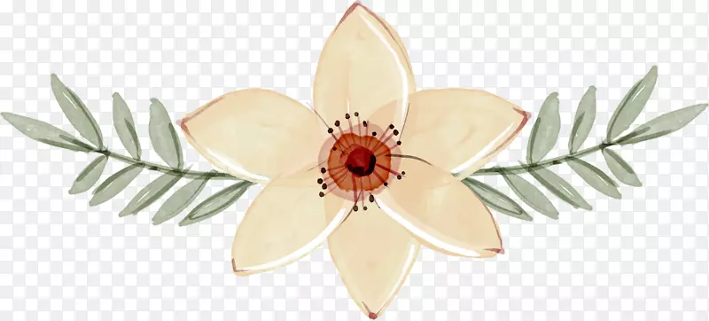 花卉设计图形设计用户界面设计装饰植物